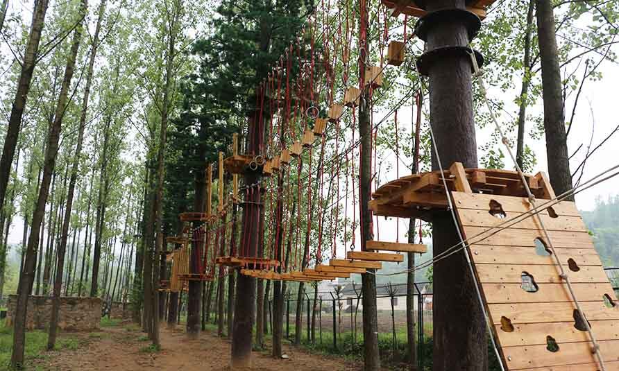 treetop challenge course, forest adventure course, canopy adventure course, obstacle course, adventure park