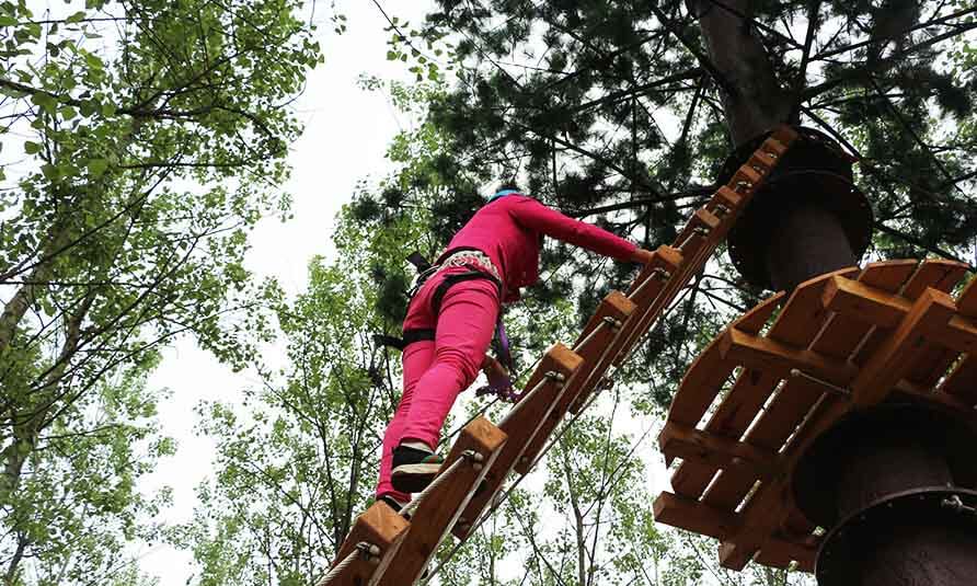 treetop challenge course, forest adventure course, canopy adventure course, obstacle course, adventure park