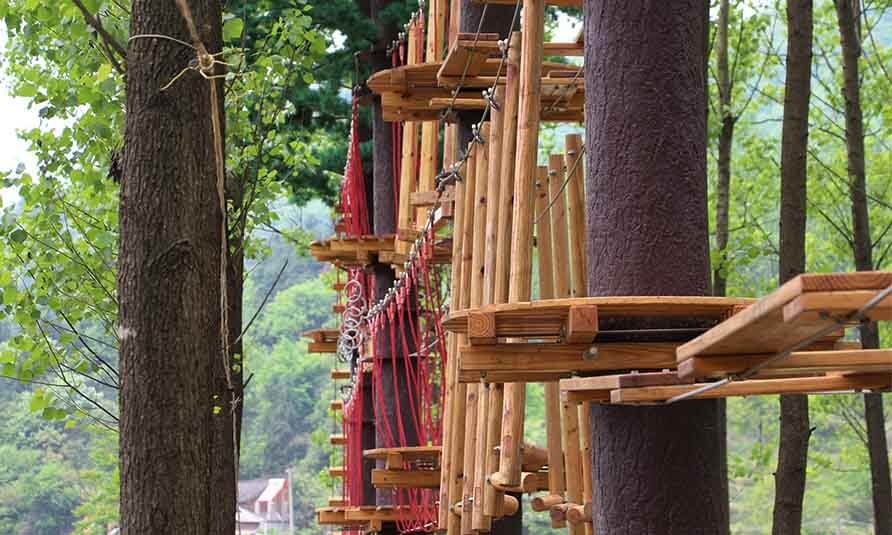 treetop challenge course, forest adventure course, canopy adventure course, obstacle course, adventure park